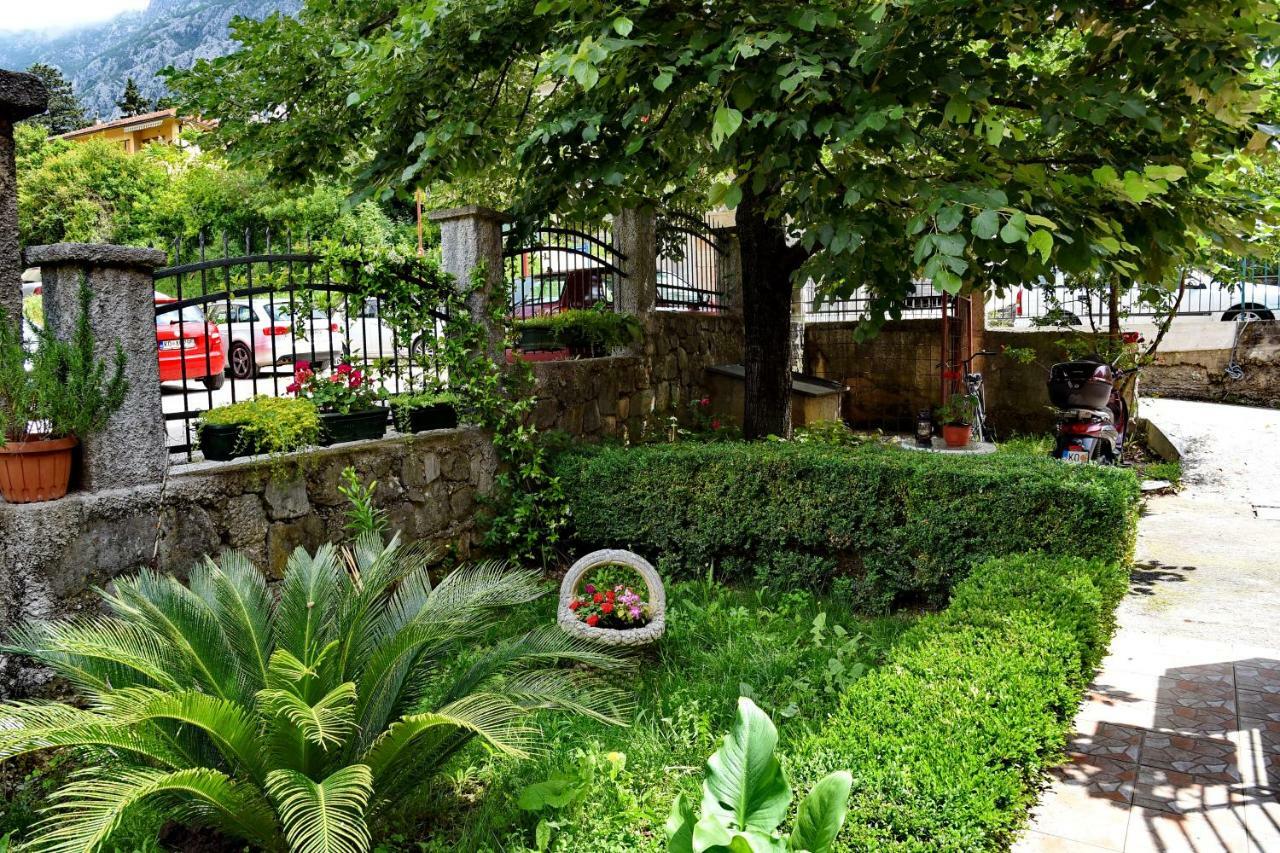 Apartments Martiva Kotor Dış mekan fotoğraf